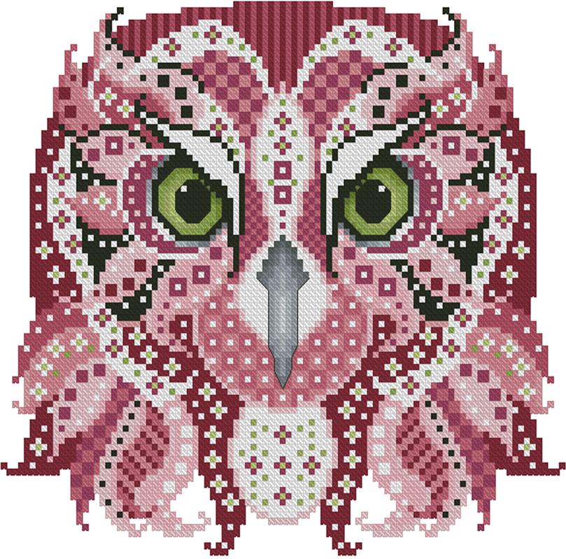 (image for) Colorful Owls Oliver